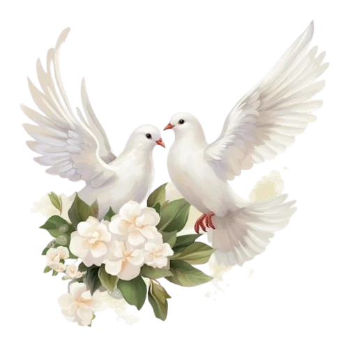doves